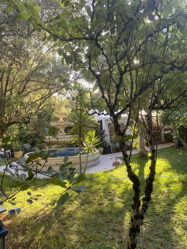 Recantos do jardim
