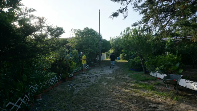 Um caminho pelo jardim