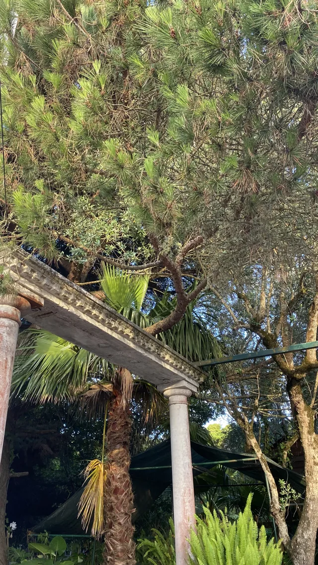 Um encontro com o jardim