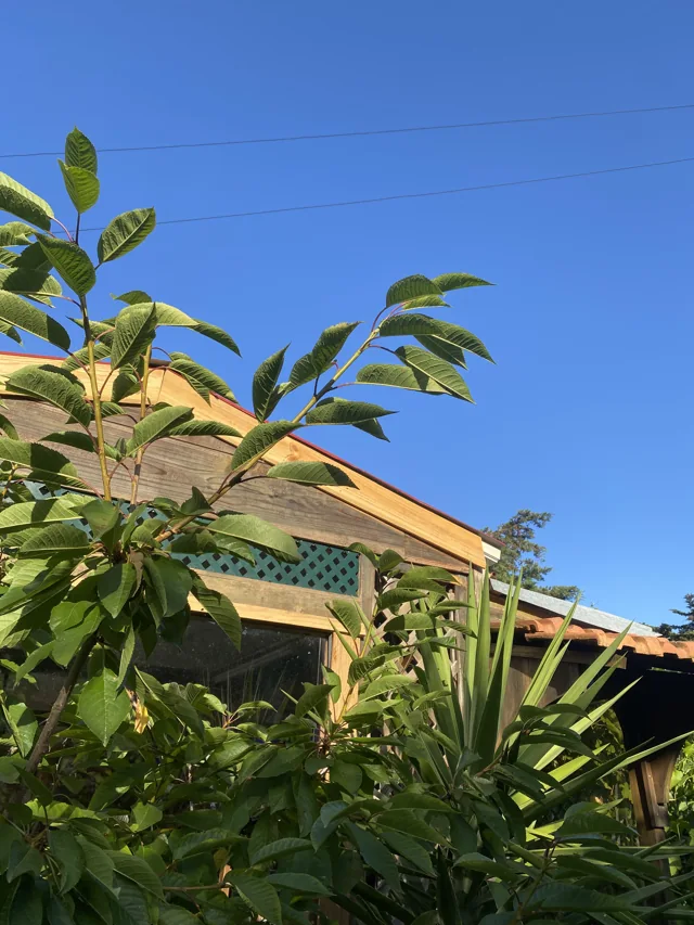 Um olhar sobre a Vila