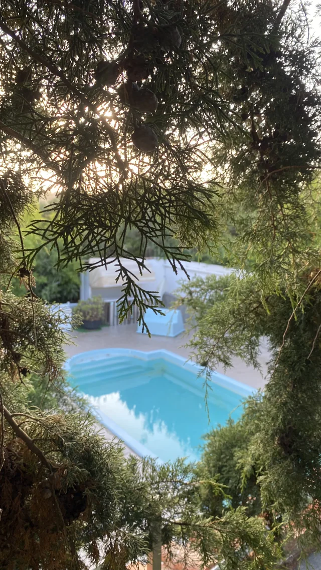 A piscina vista entre as árvores