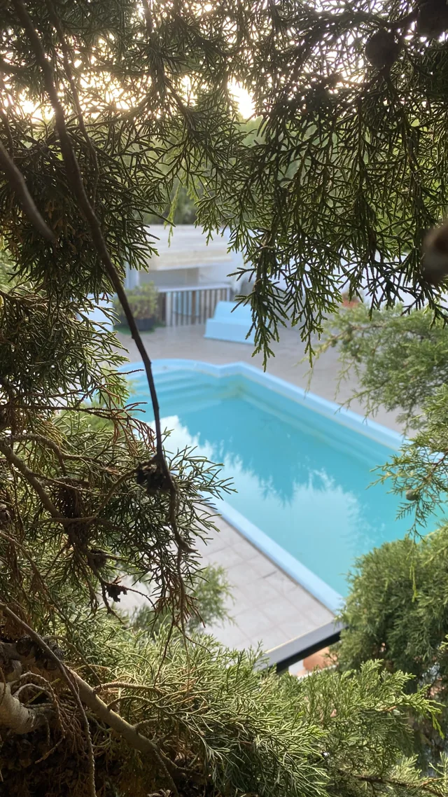 A piscina entre a vegetação