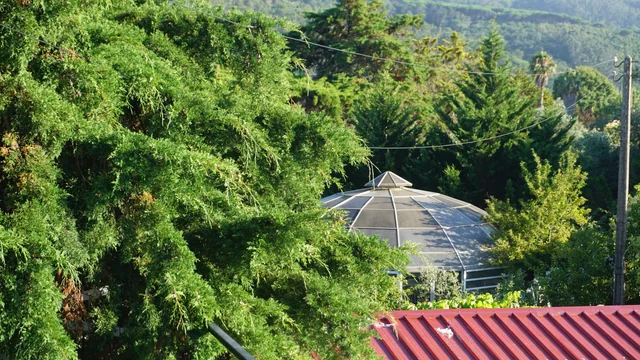 A Vila e a paisagem de Sintra