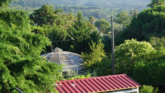 A Vila entre as copas das árvores